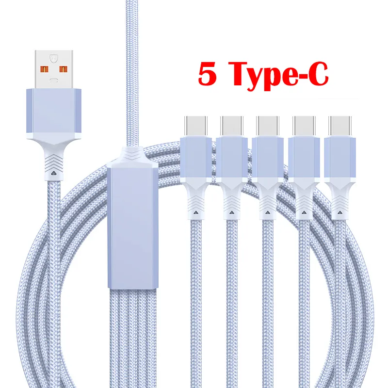2 meters PD100W 5 in 1 Fast Charging Phone Charger for Android Phone iPhone