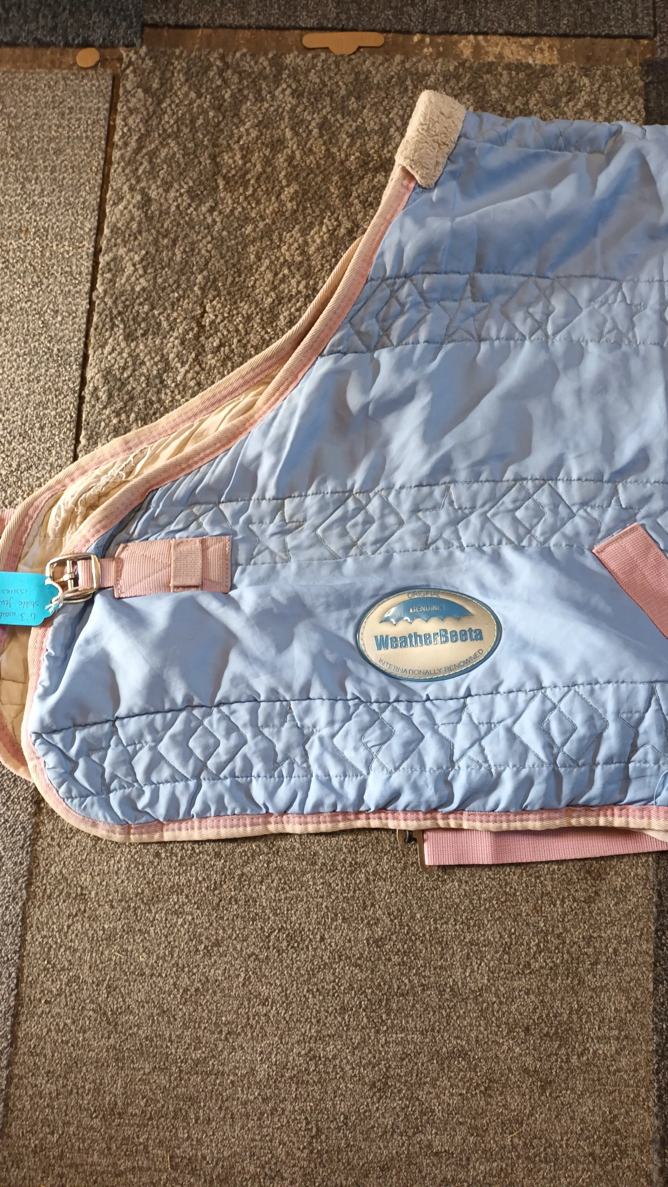 4'3, weatherbeeta, light stable rug, few lining issues