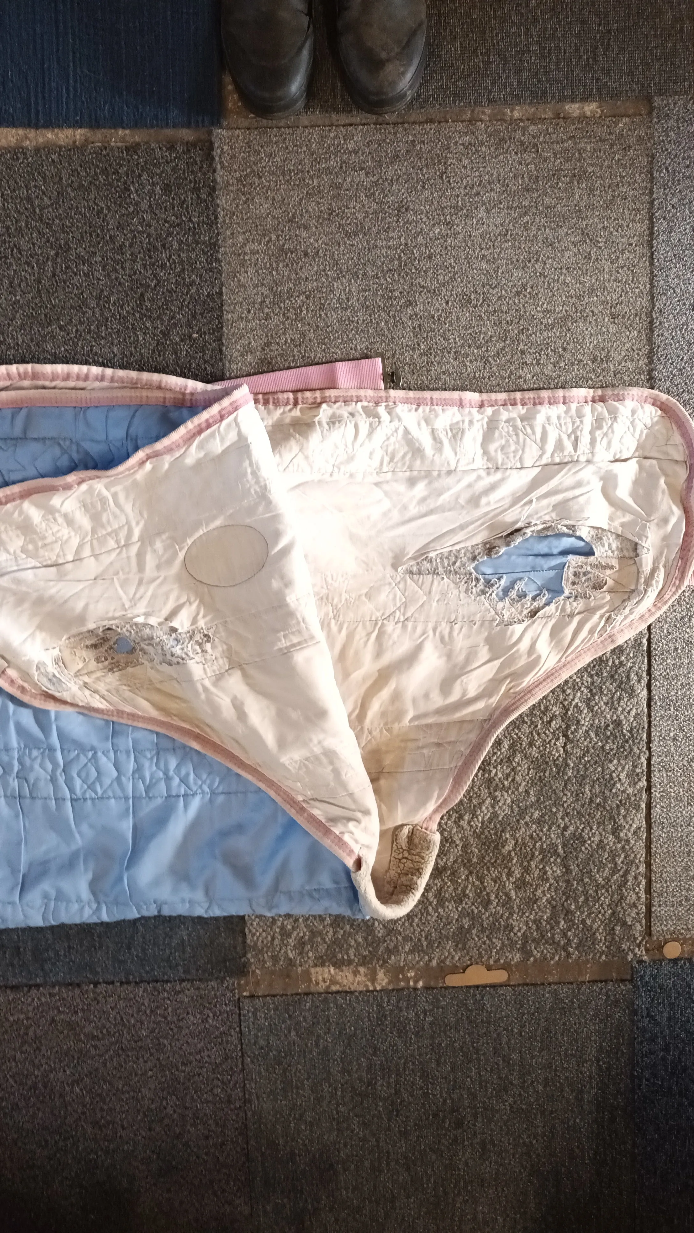 4'3, weatherbeeta, light stable rug, few lining issues