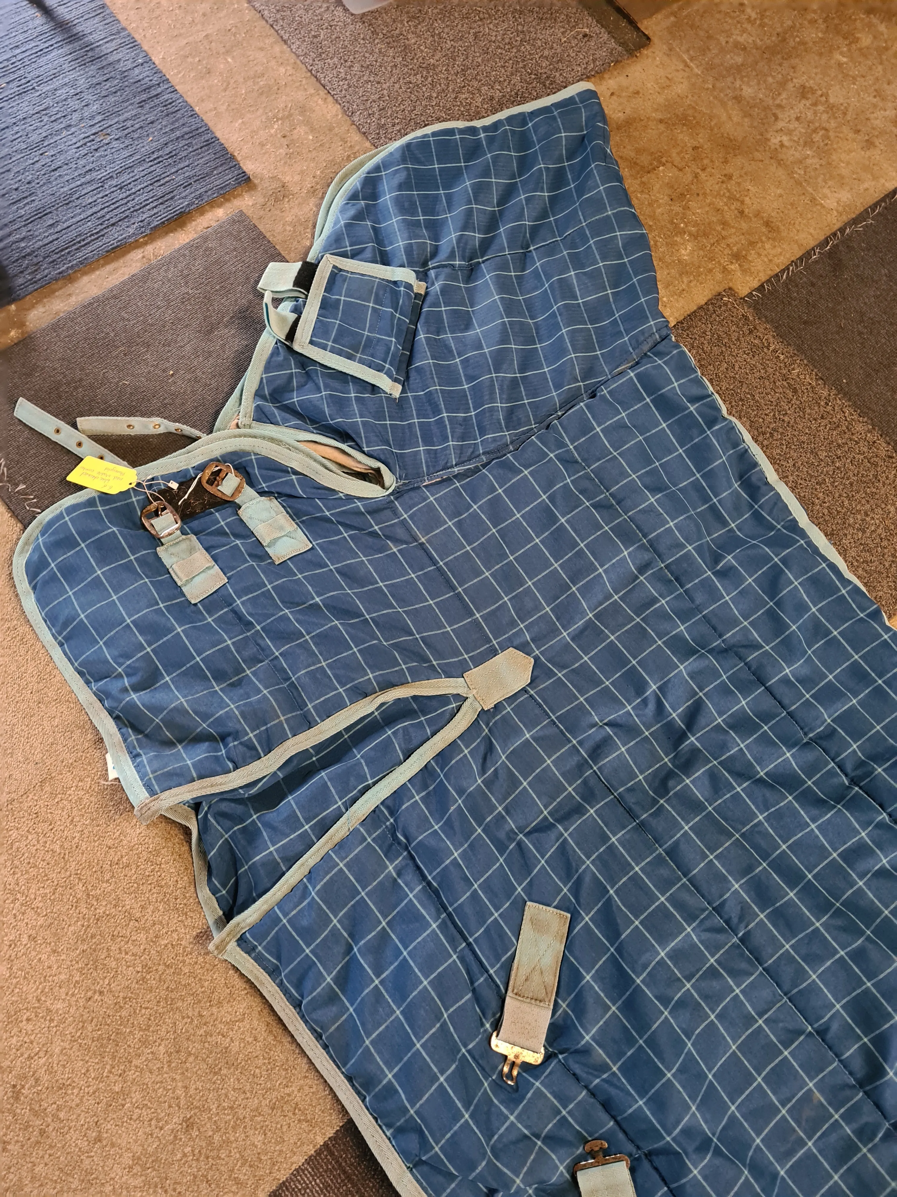6'6 Blue checked rhinegold medium weight half neck stable