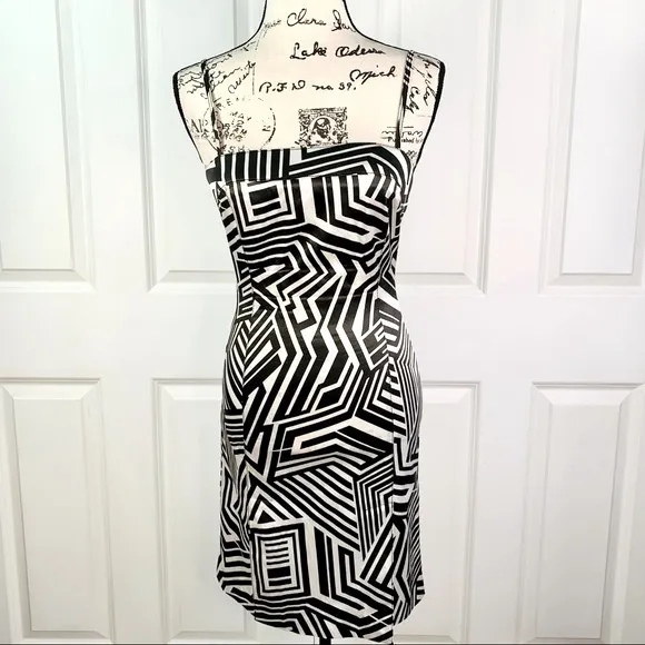 Alberto Makali Strappy Satin Stretchy Dress