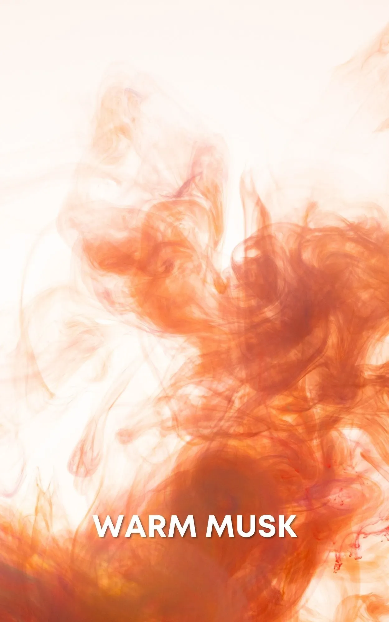 Amber & Carnelian Blend Perfume Oil Concentrate Sample by Sage