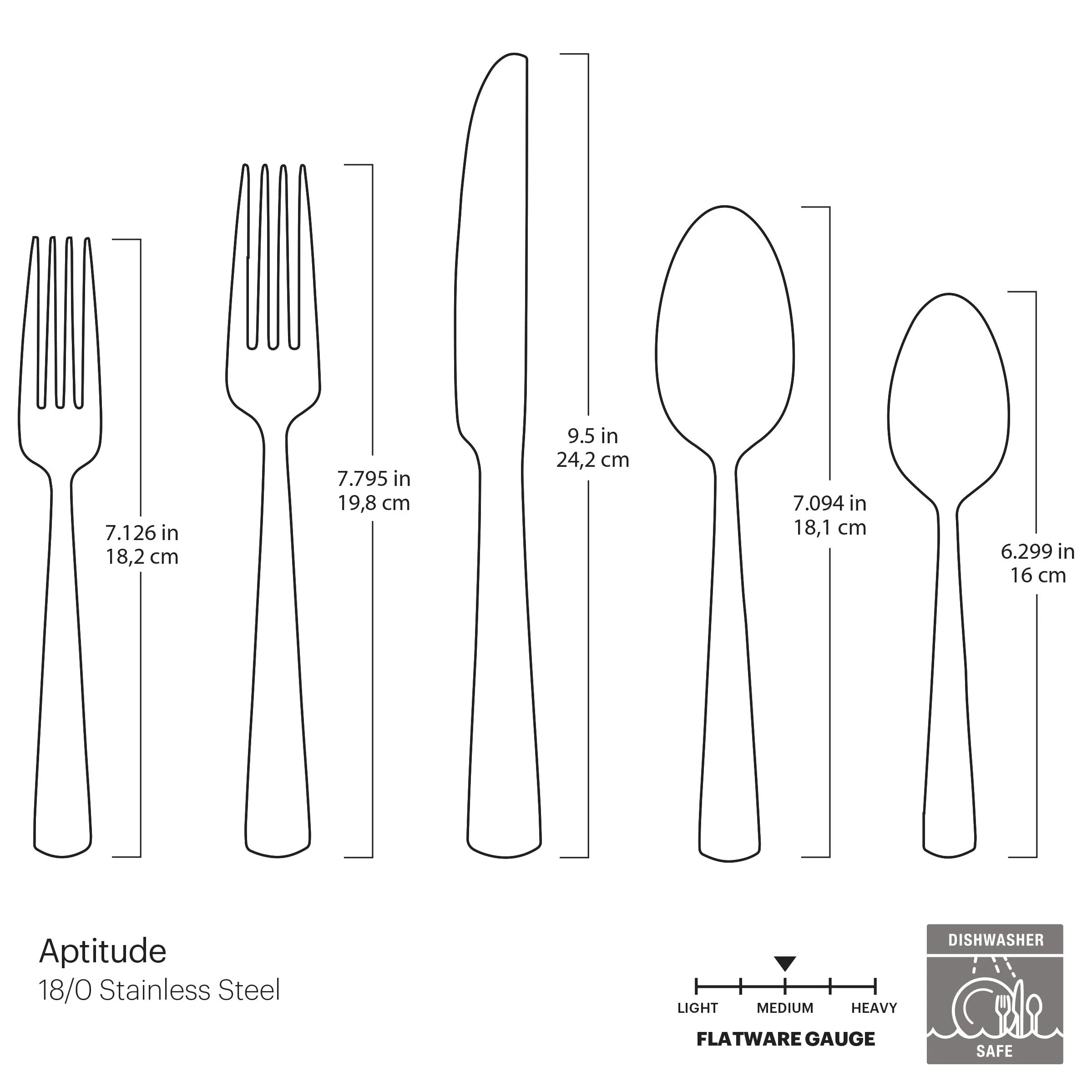 Aptitude Glossy Midnight 20PC Set