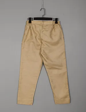 BJT-1C-Brown - Earthy Tones - Super Quality Banarsi Trouser