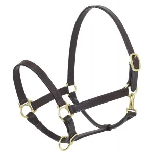 Camelot Horse Stable Halter