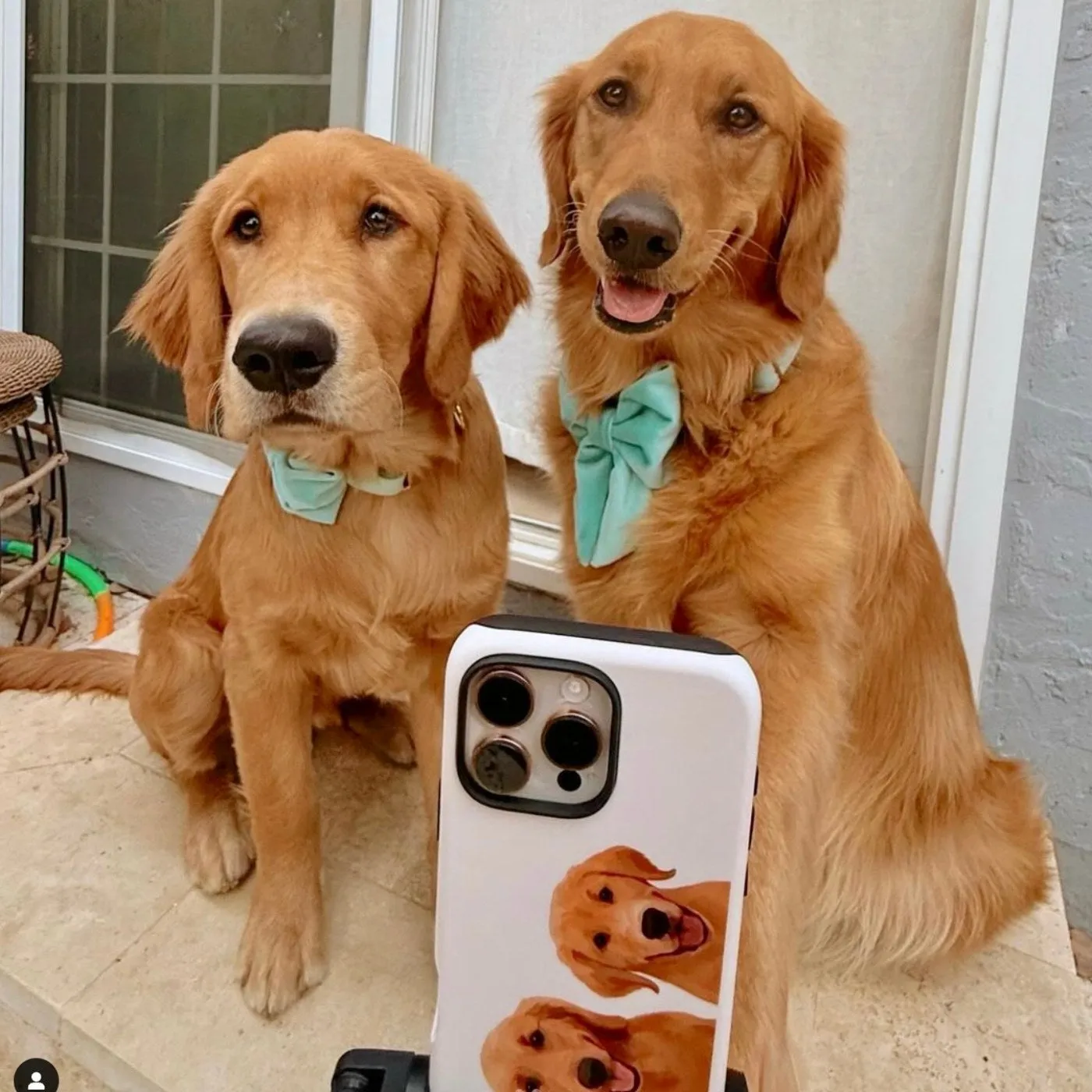 Custom Pet Portrait iPhone Case
