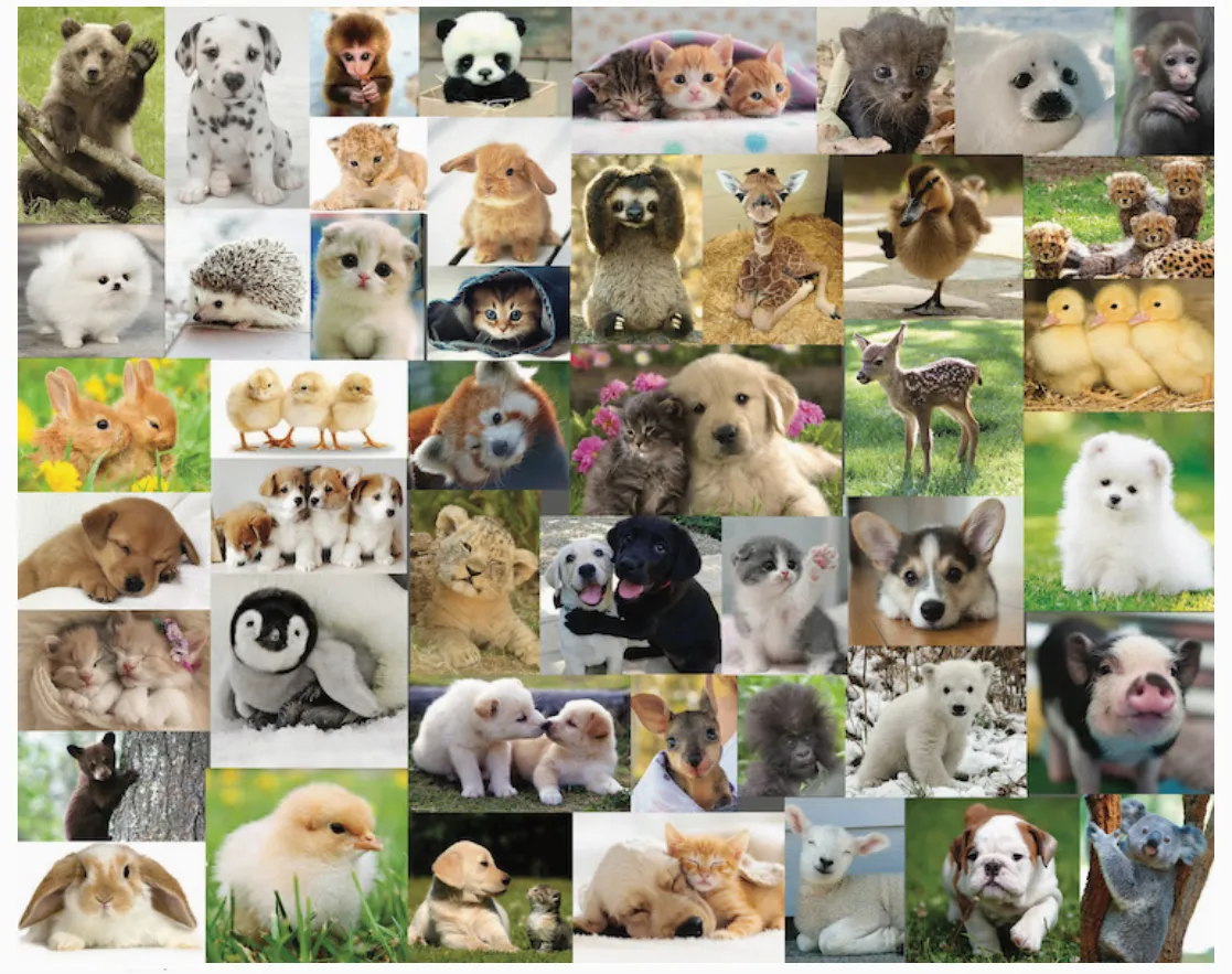 Cute, Cute, Cute by Steve Smith Puzzle