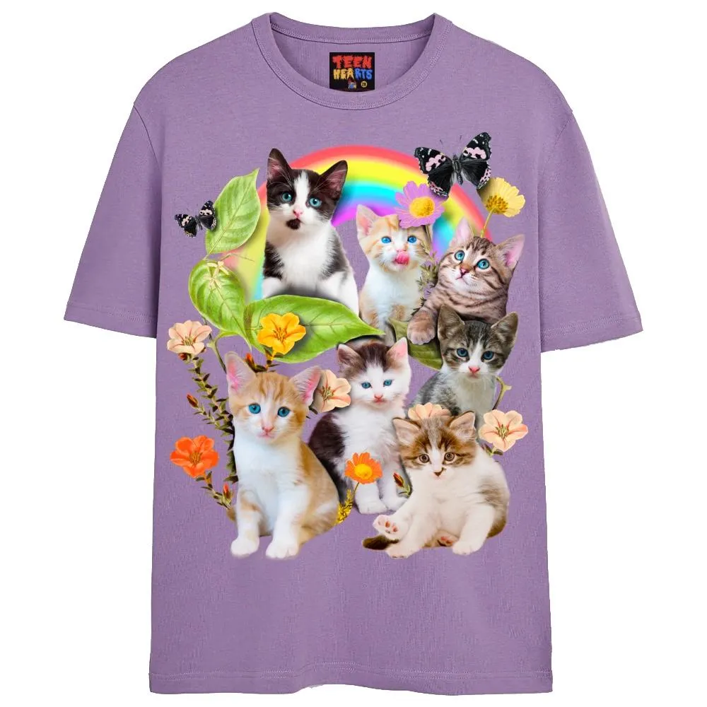 CUTE KITTENS