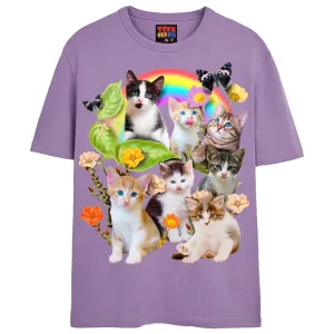 CUTE KITTENS