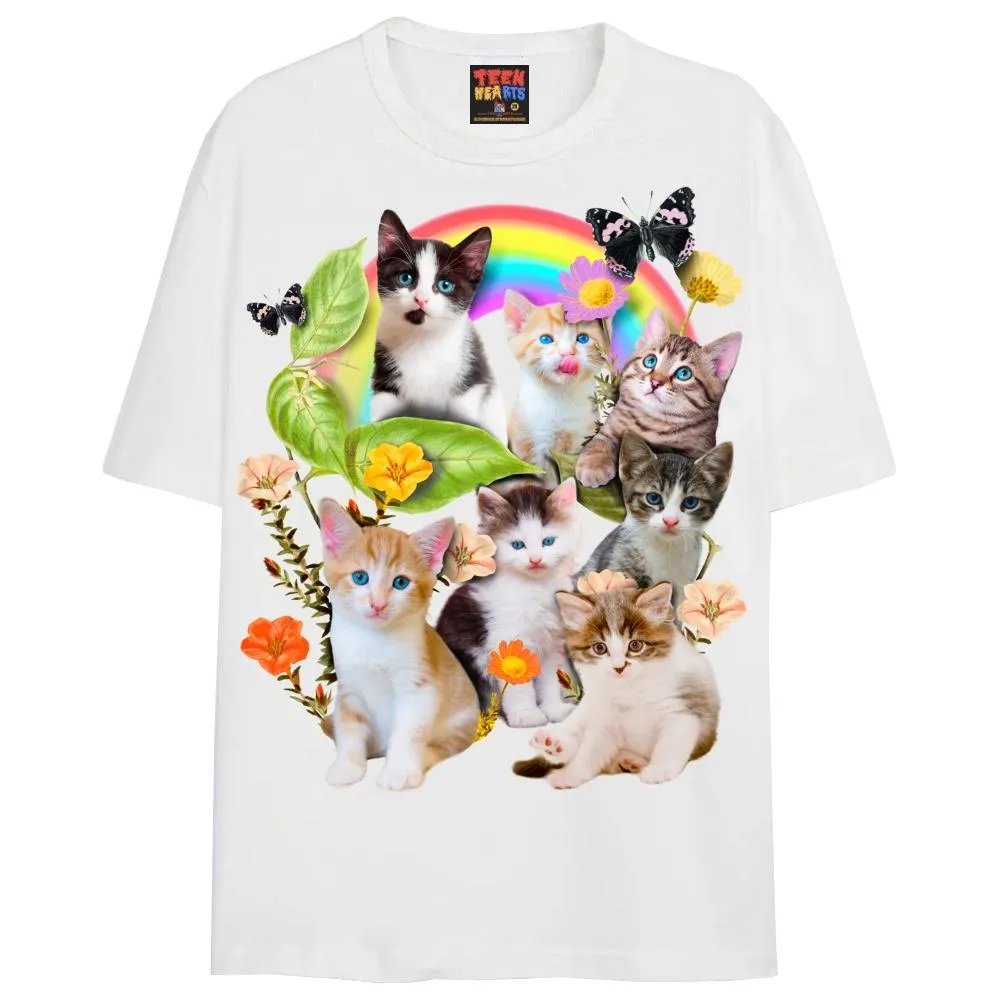 CUTE KITTENS
