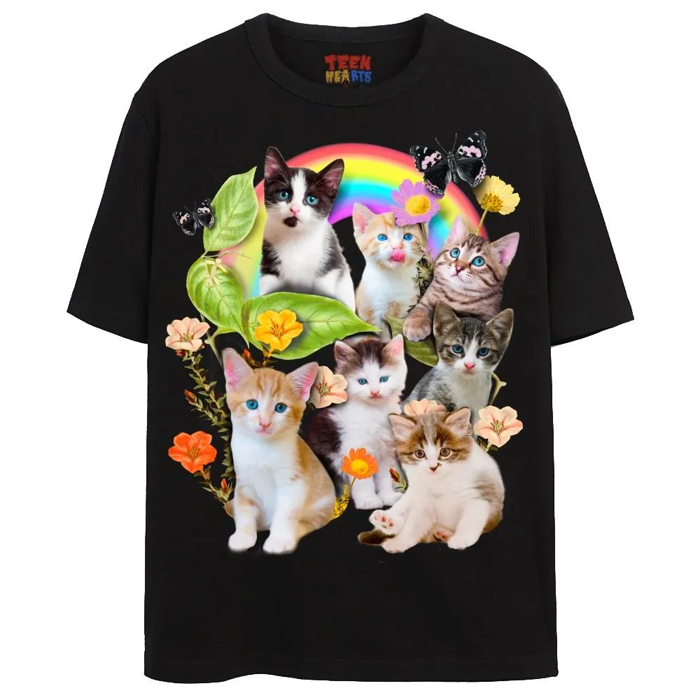 CUTE KITTENS