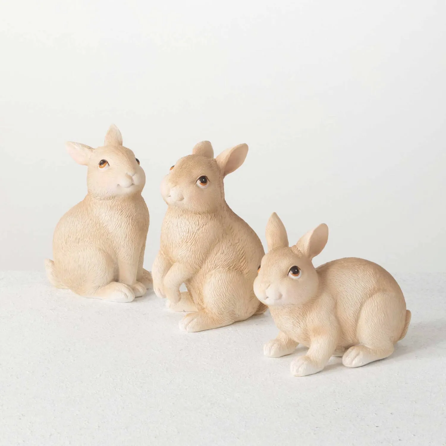 Cute Little Bunnies