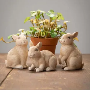 Cute Little Bunnies