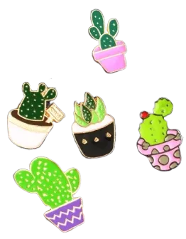 Cute Succulent Pin