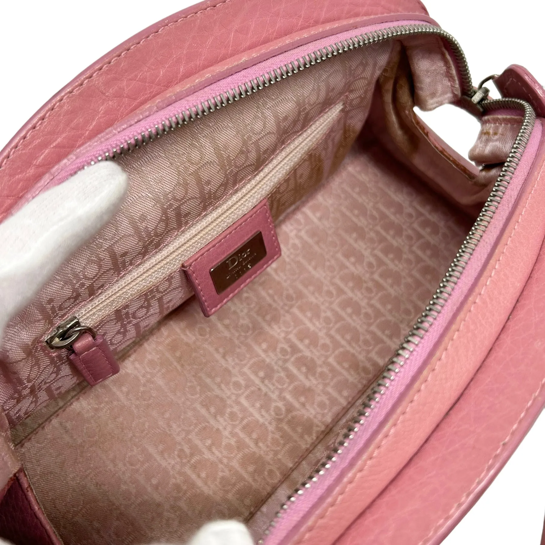 Dior Pink Butterfly Detective Bag