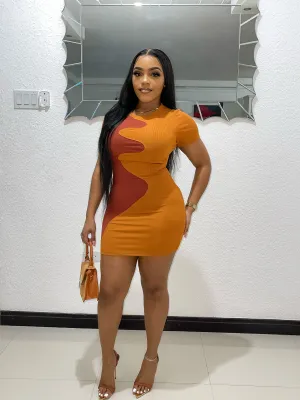 Earthy Dress