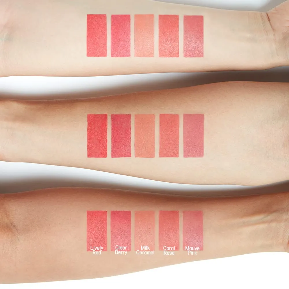 Etude - Fixing Tint Bar - 5 shades