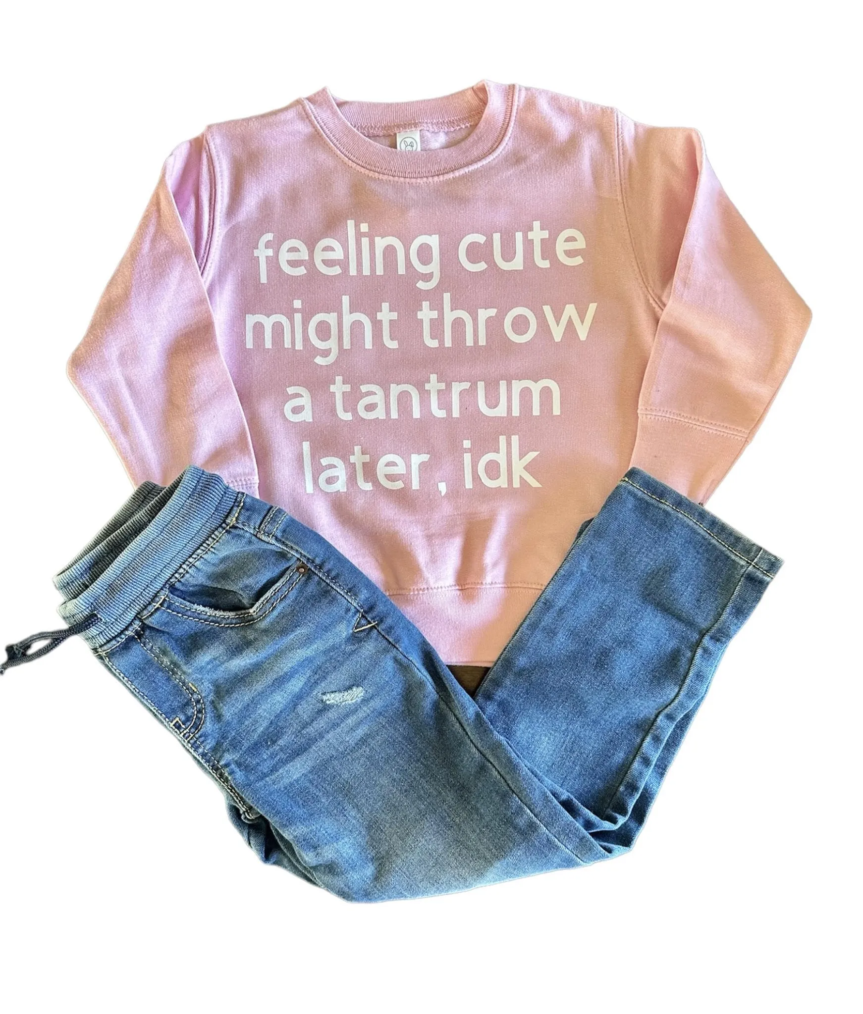 Feeling Cute Sweatshirt