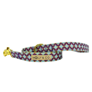 Florentino - Dog Leash - FINAL SALE