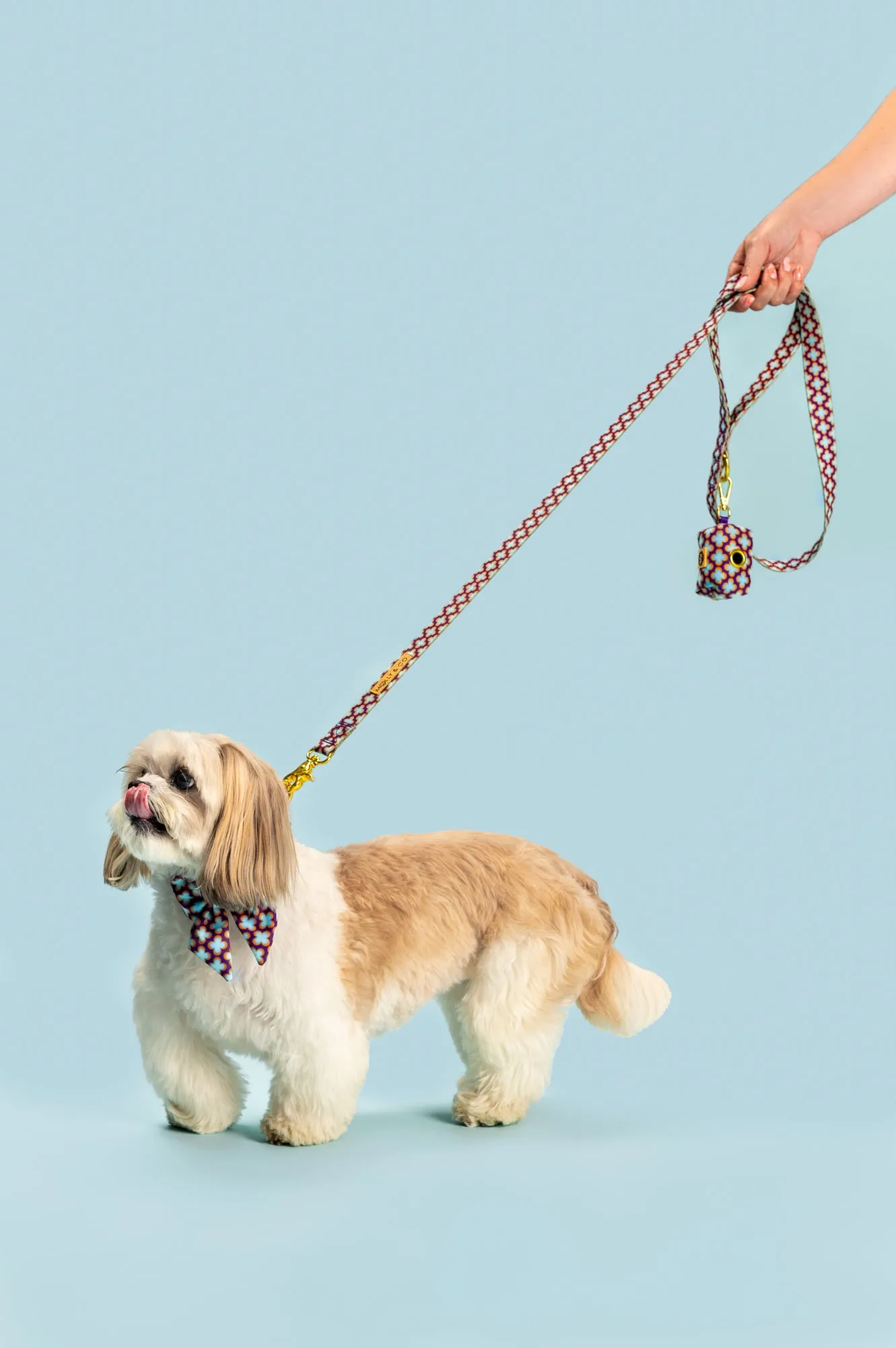 Florentino - Dog Leash - FINAL SALE