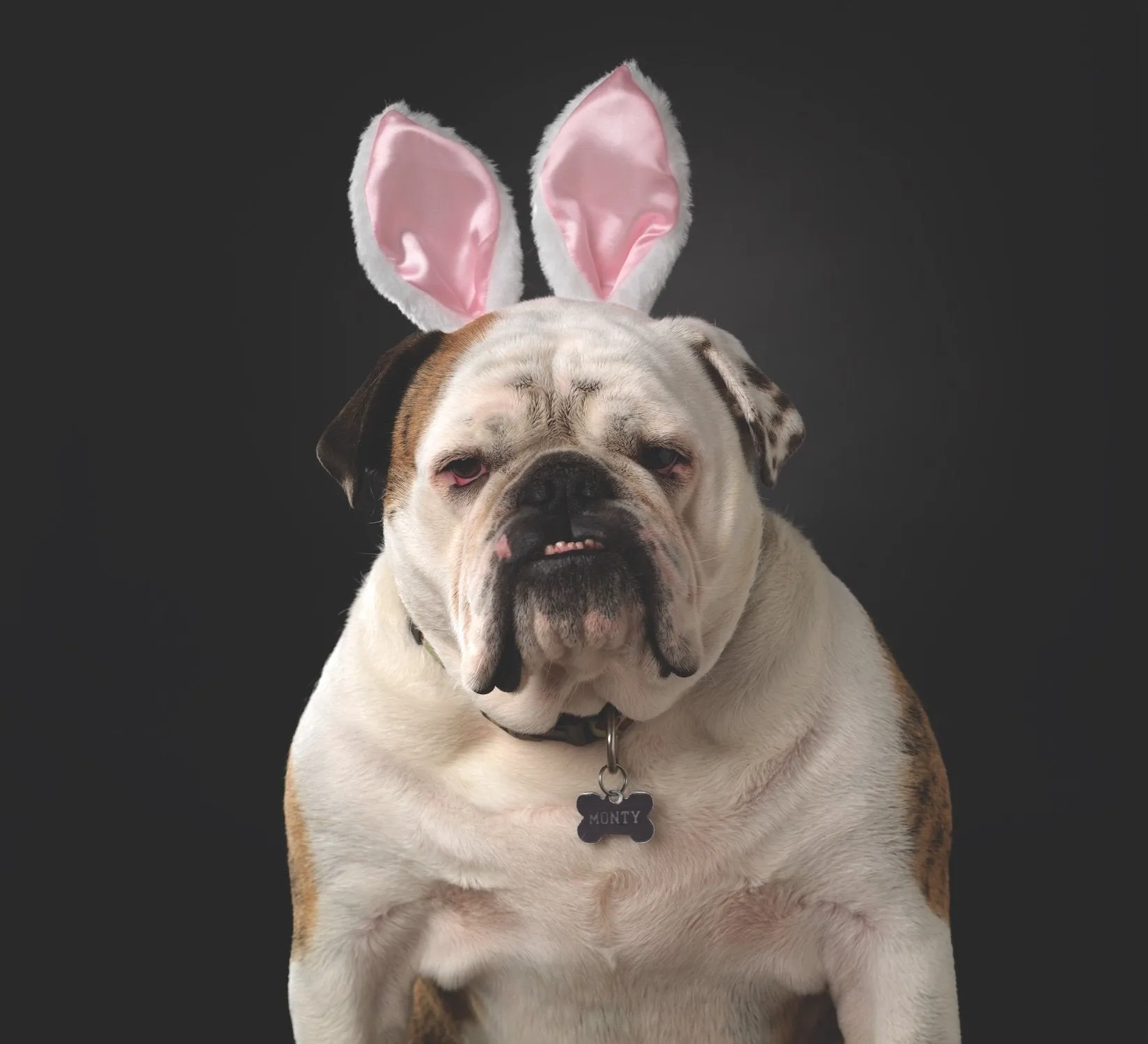 Funny Bunny Ears