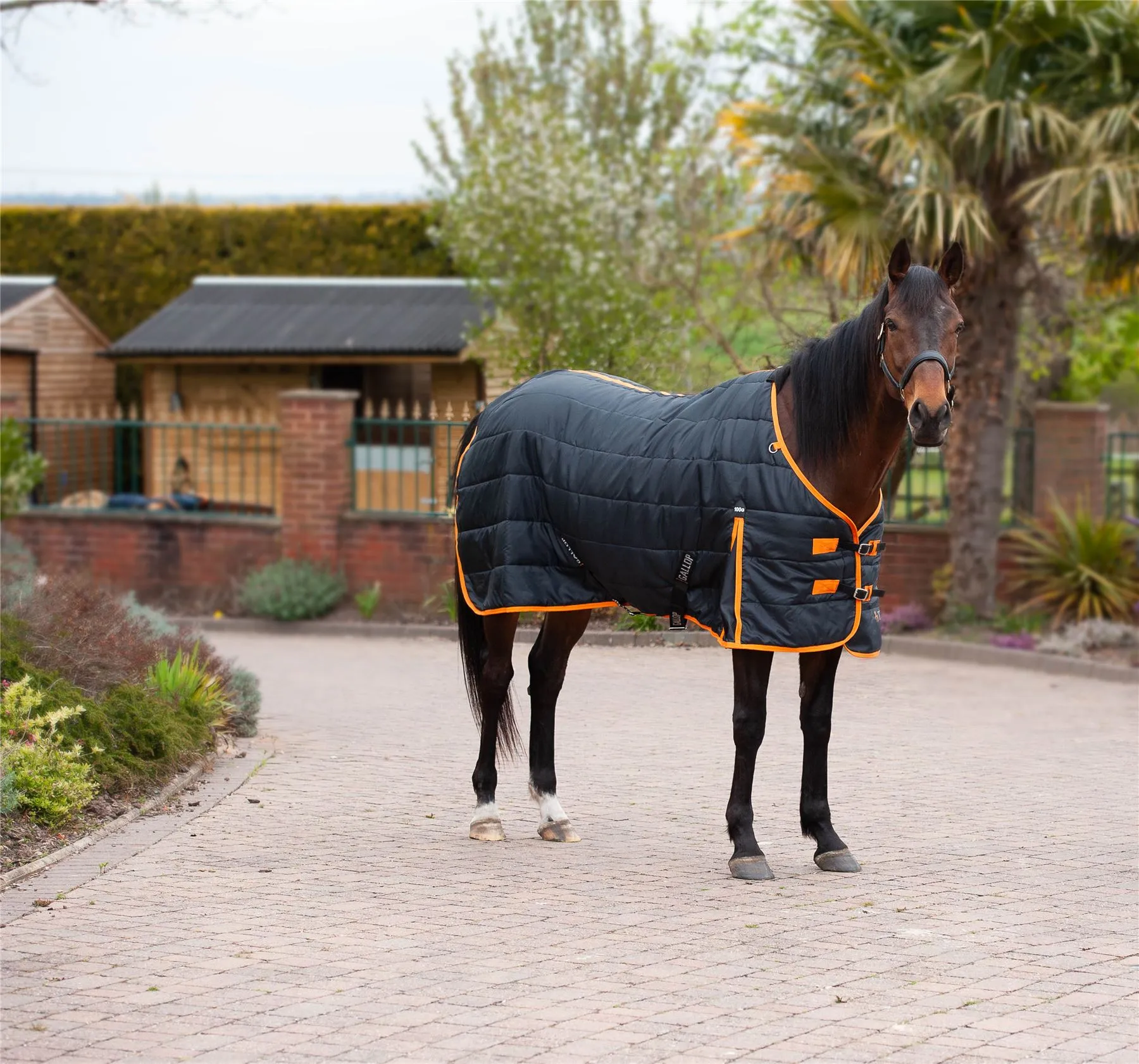 Gallop Equestrian Trojan 100 Stable