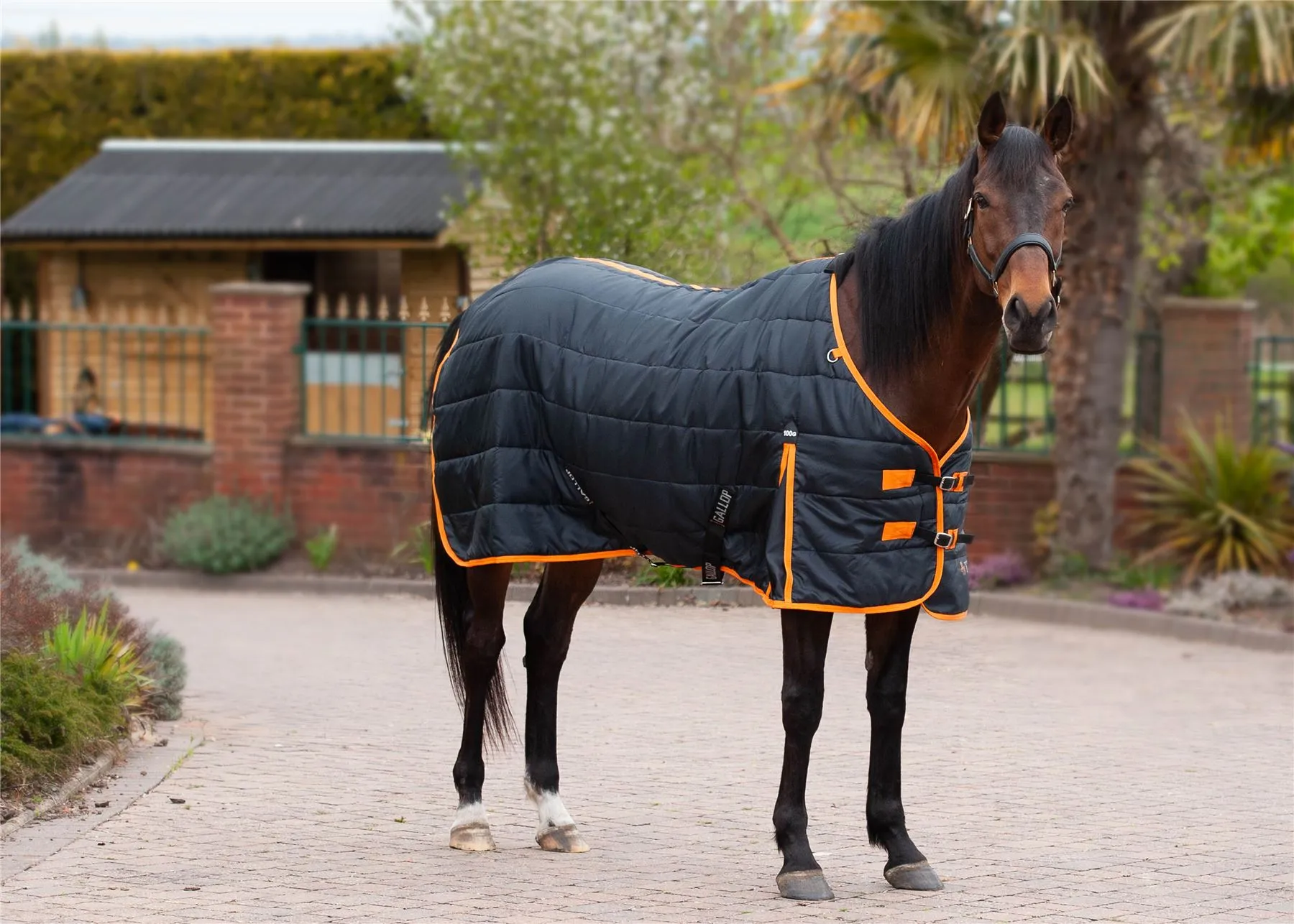 Gallop Equestrian Trojan 100 Stable