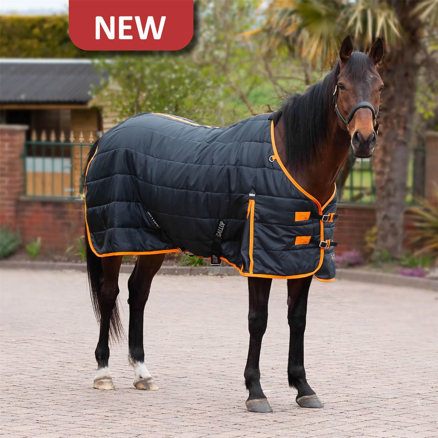 Gallop Equestrian Trojan 100 Stable