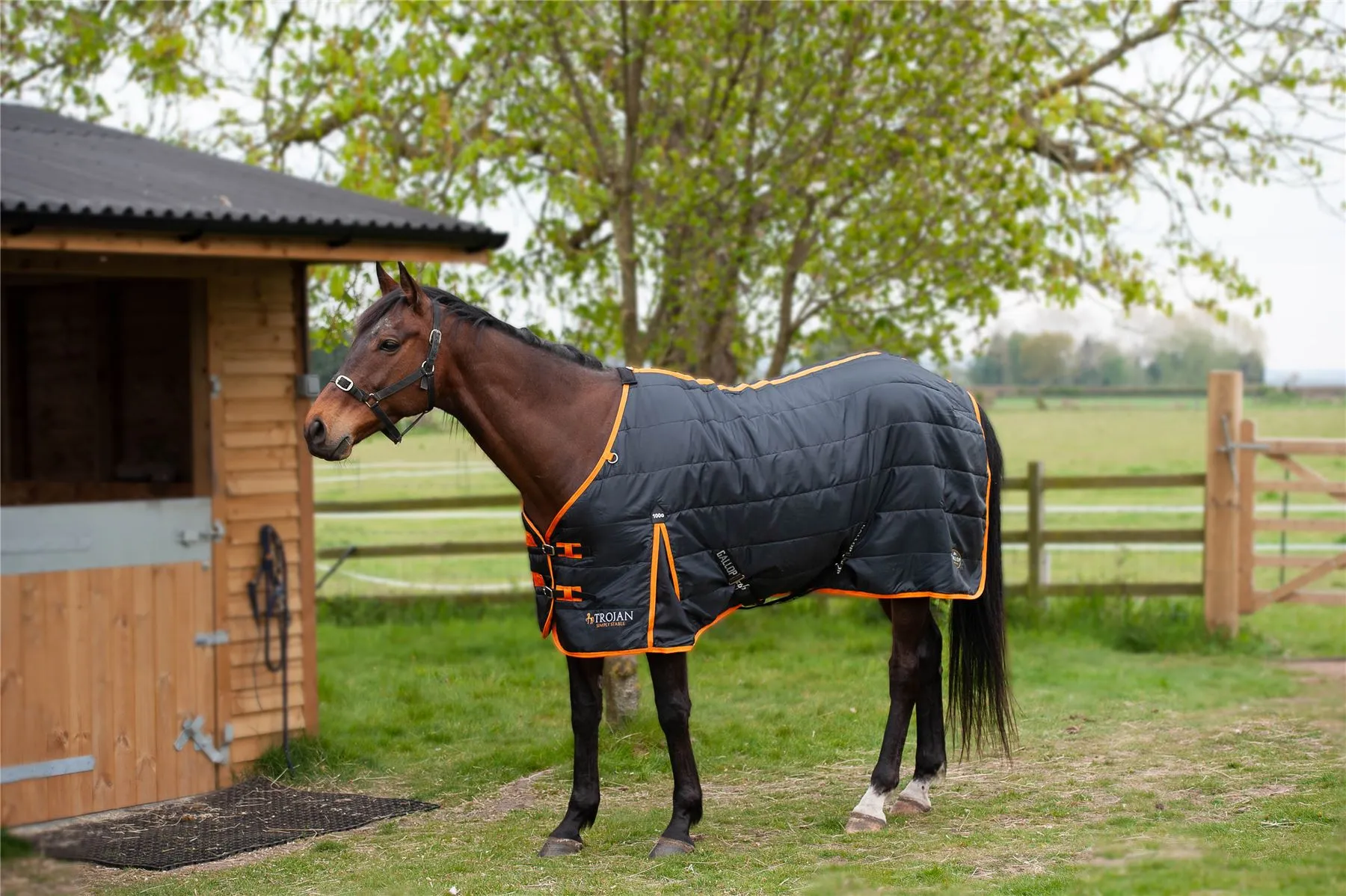 Gallop Equestrian Trojan 100 Stable