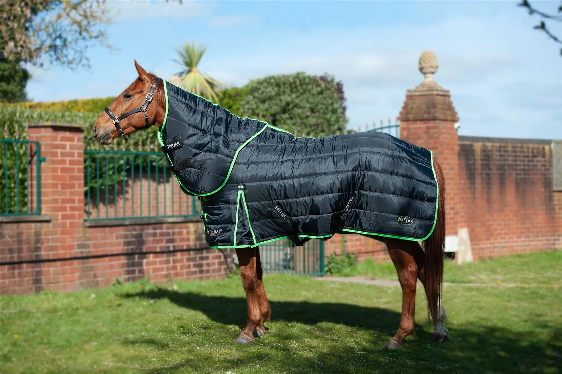 Gallop Equestrian Trojan Dual 300 Stable Rug & Neck Set