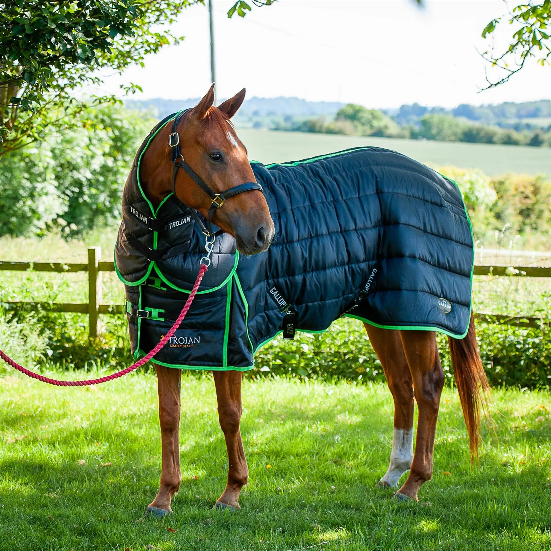Gallop Equestrian Trojan Dual 300 Stable Rug & Neck Set