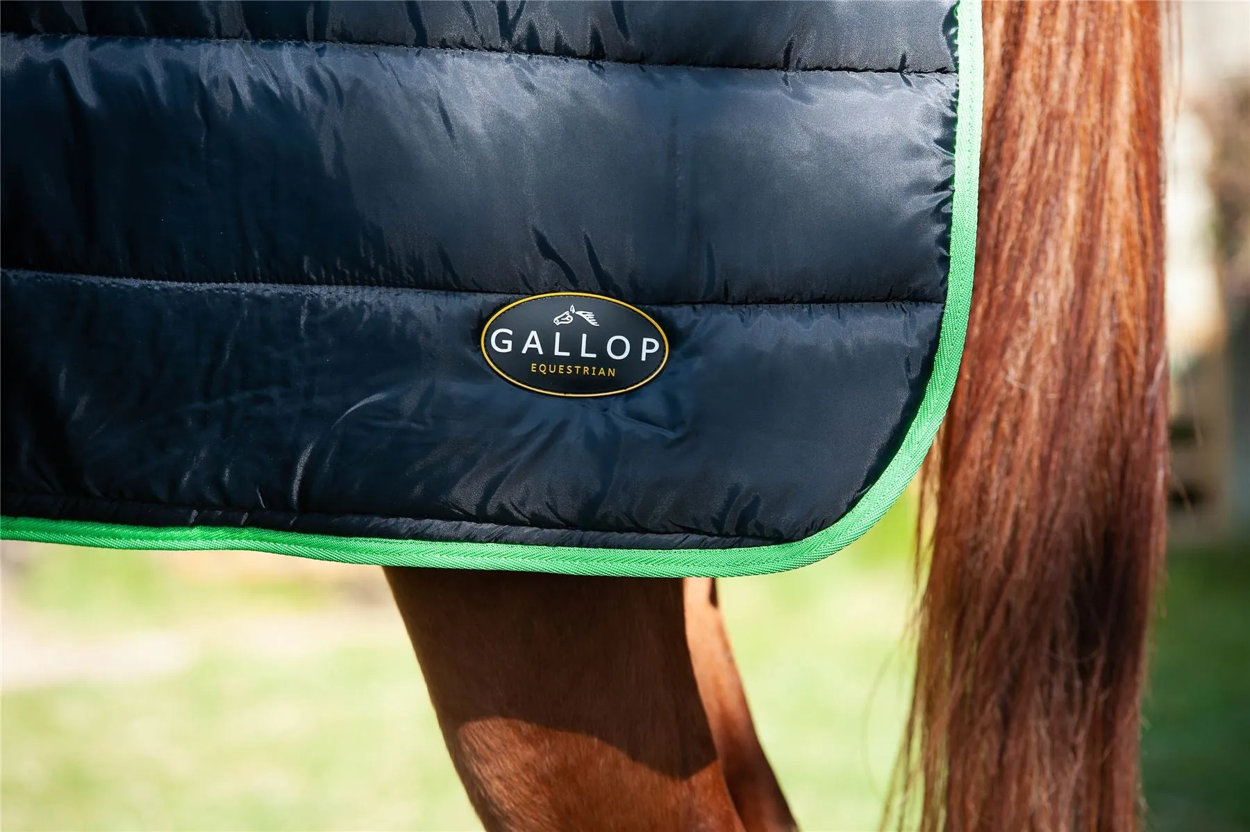 Gallop Equestrian Trojan Dual 300 Stable Rug & Neck Set