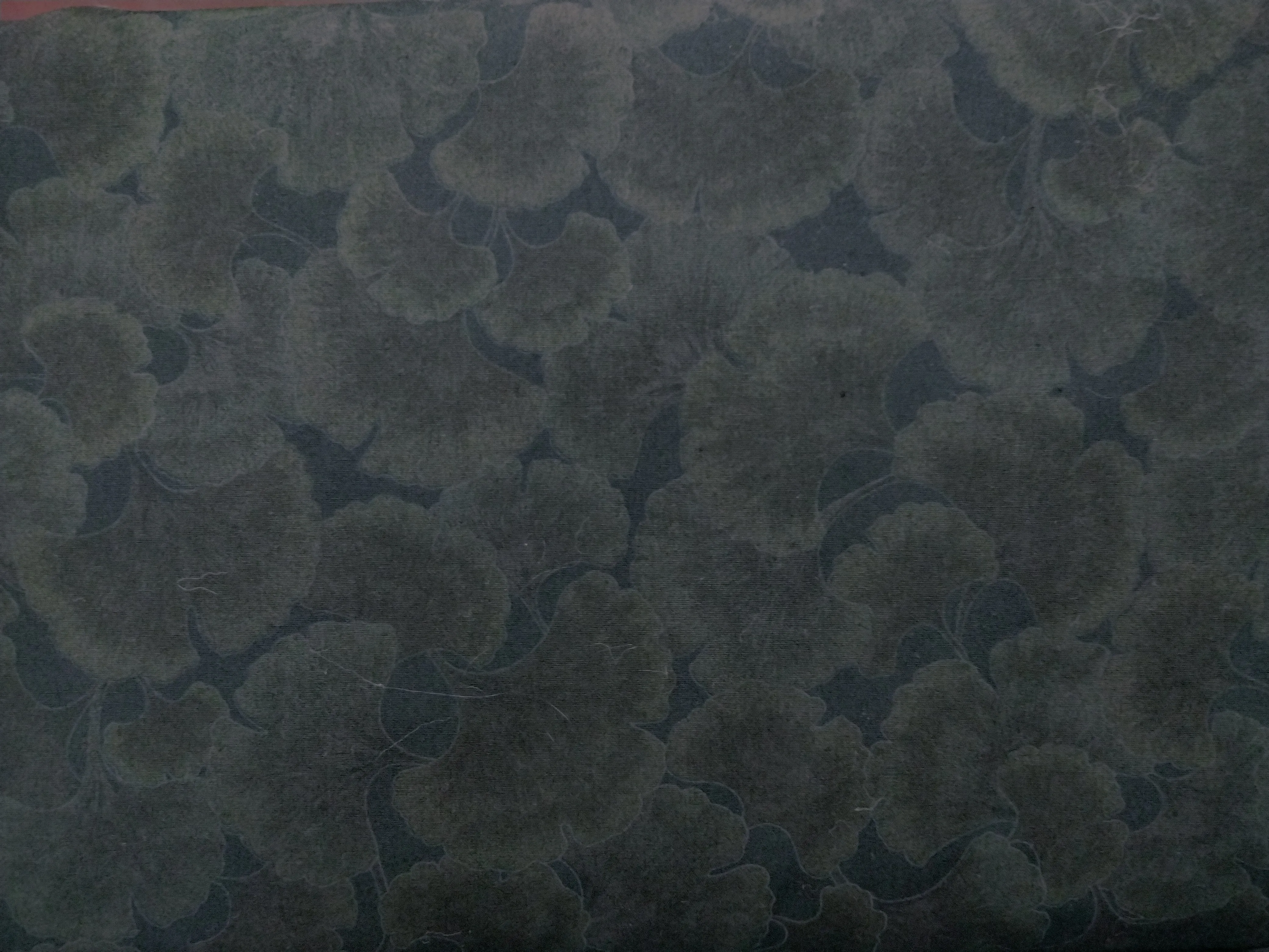 Ginkgo Tonals Onyx