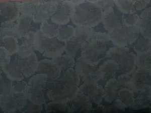 Ginkgo Tonals Onyx