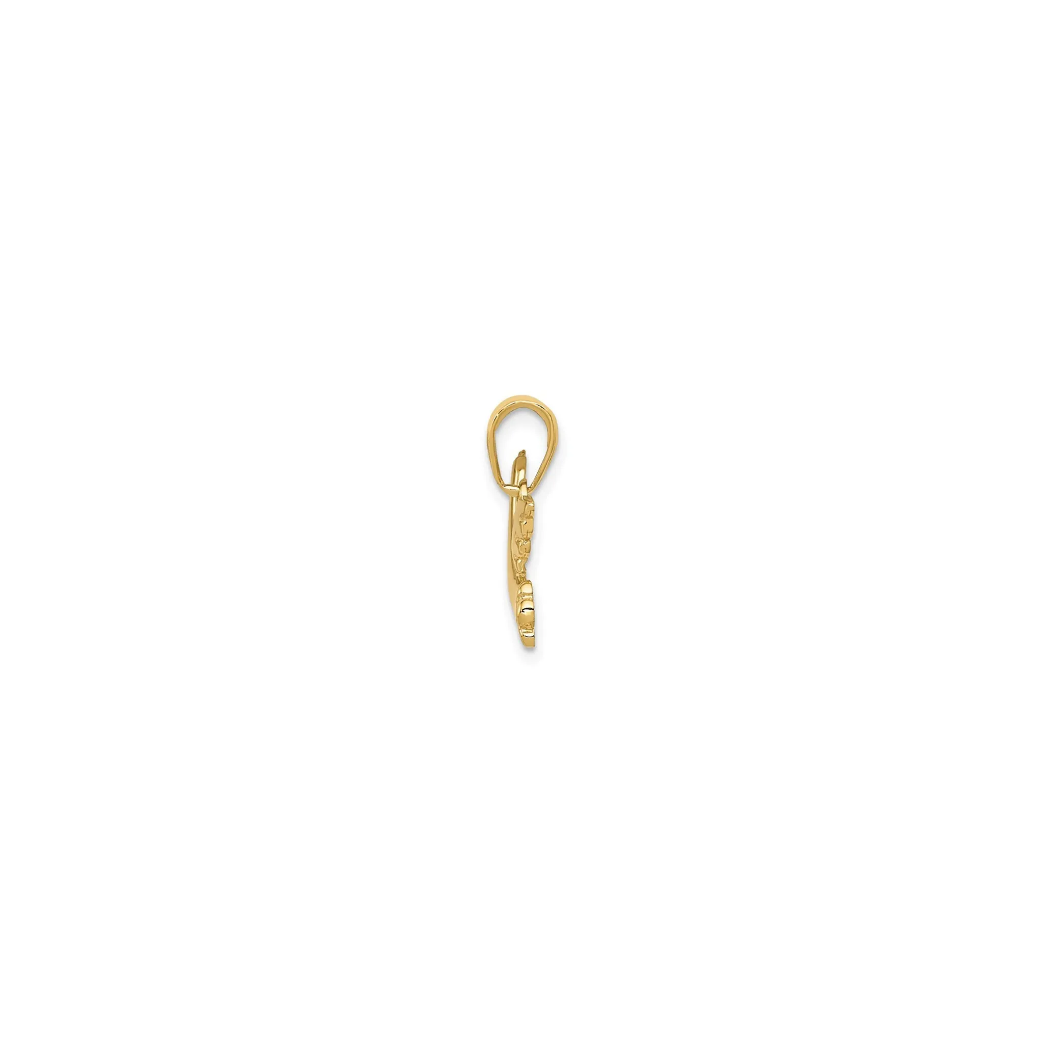 Glossy Dove Pendant (14K)