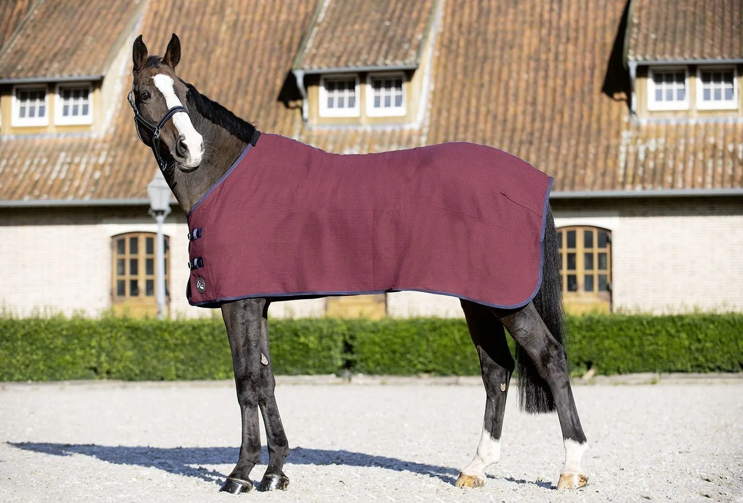 HKM Stable Rug Oakland Waffeloptik