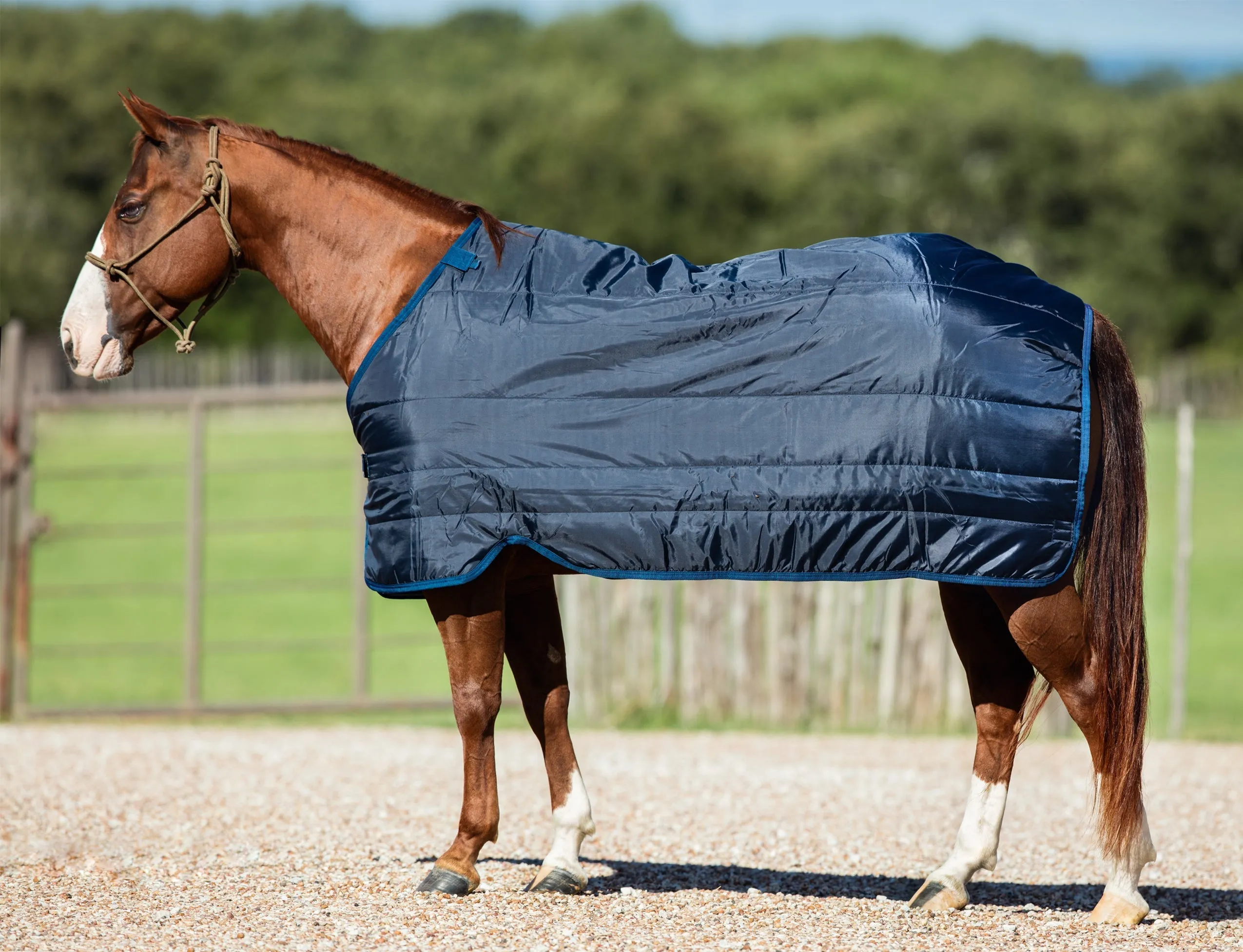 Horseware Blanket Liner (300g Heavy)