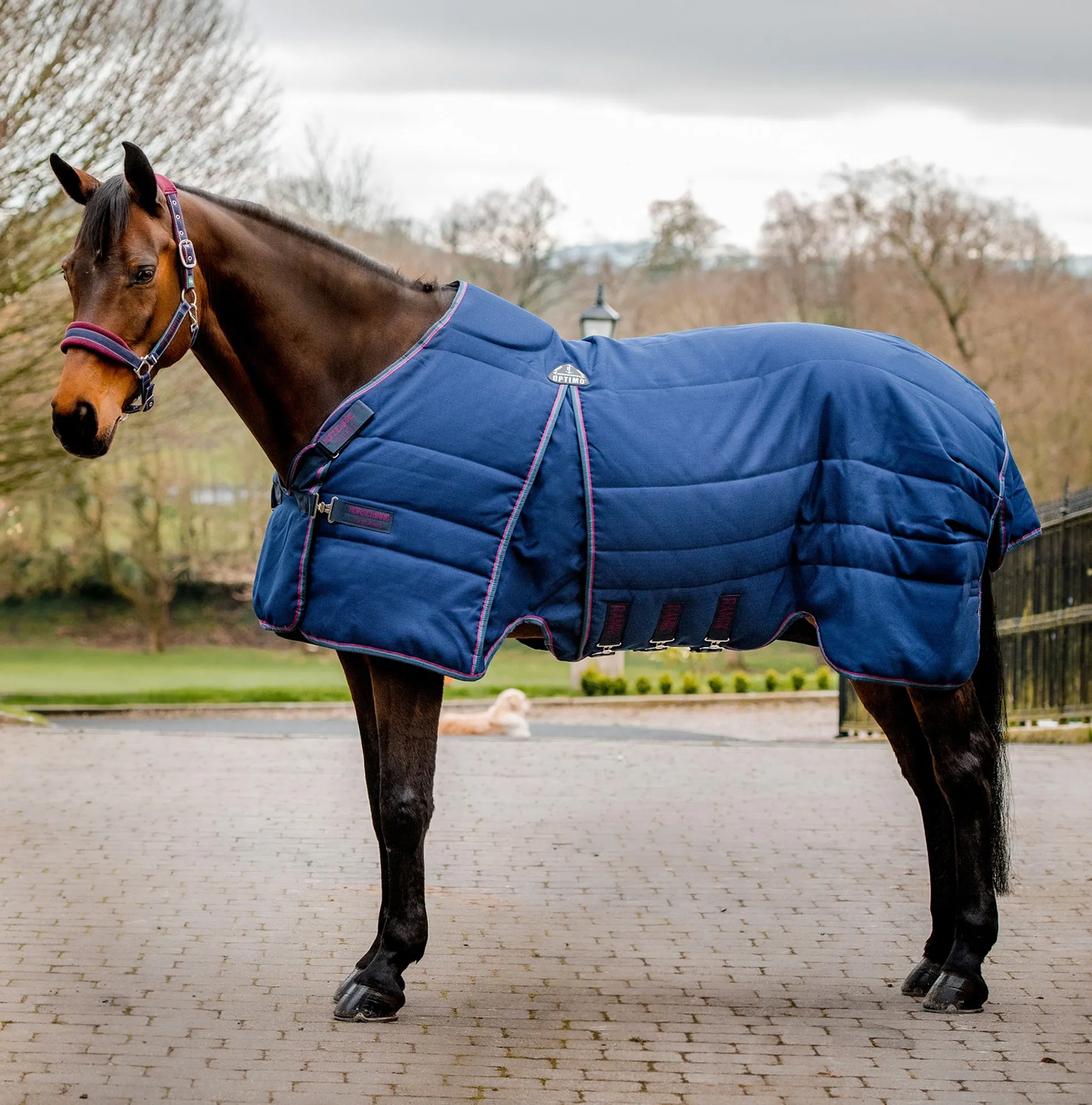 Horseware Rambo Optimo Stable Blanket (200g Medium) - SALE