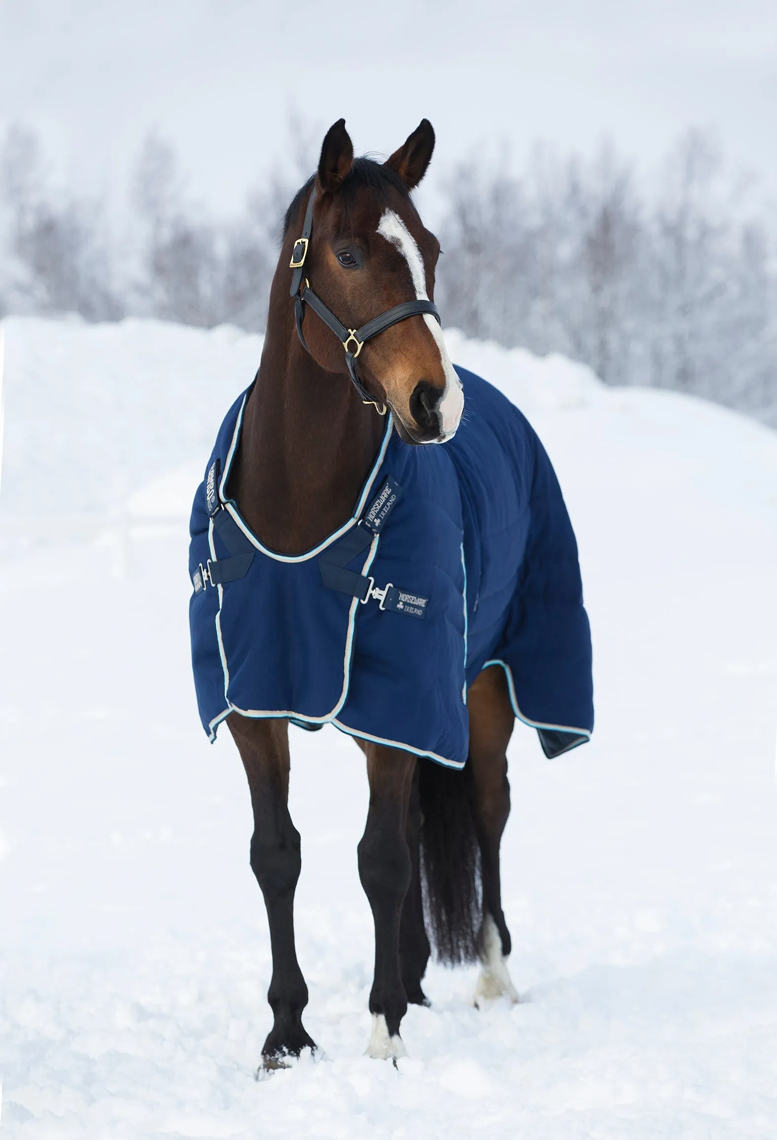 Horseware Rambo Optimo Stable Blanket (400g Heavy)- SALE