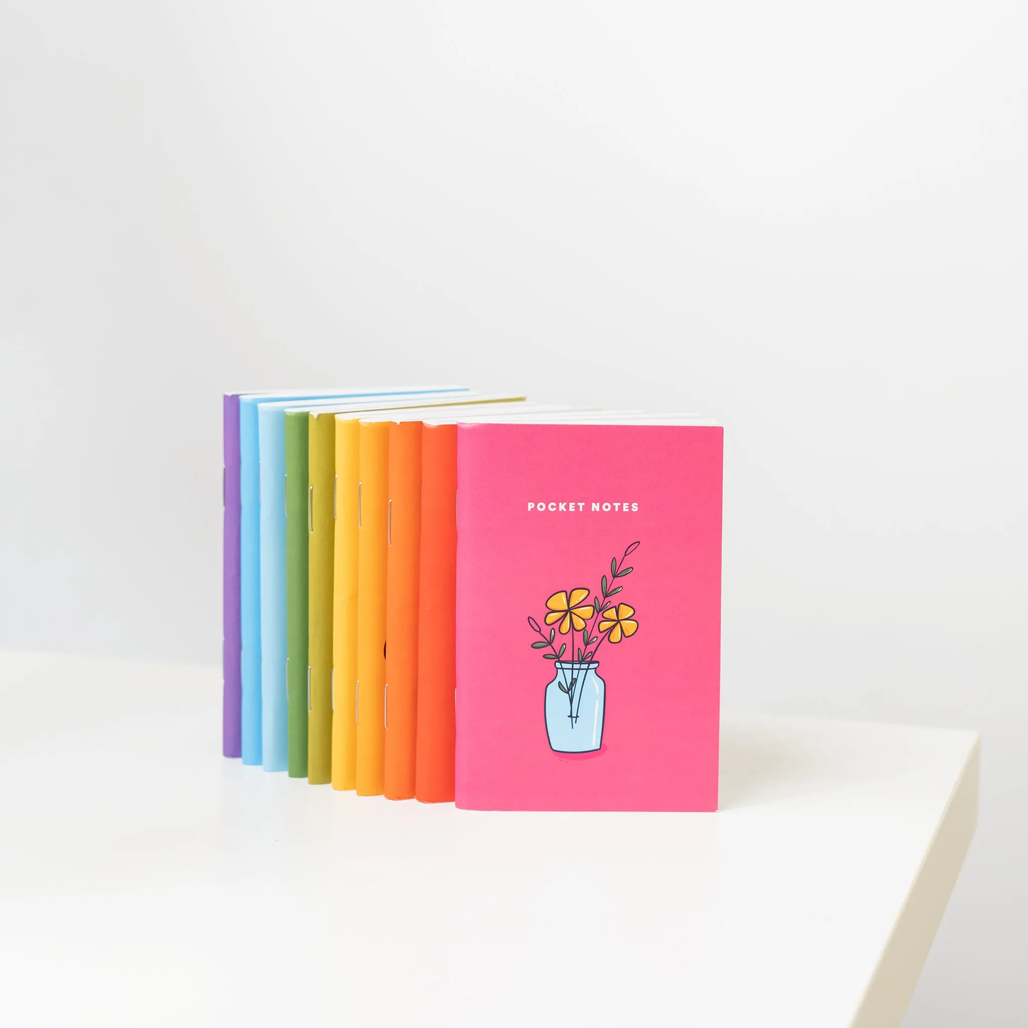 Illustrated Pocket Notebooks / Pack of 10