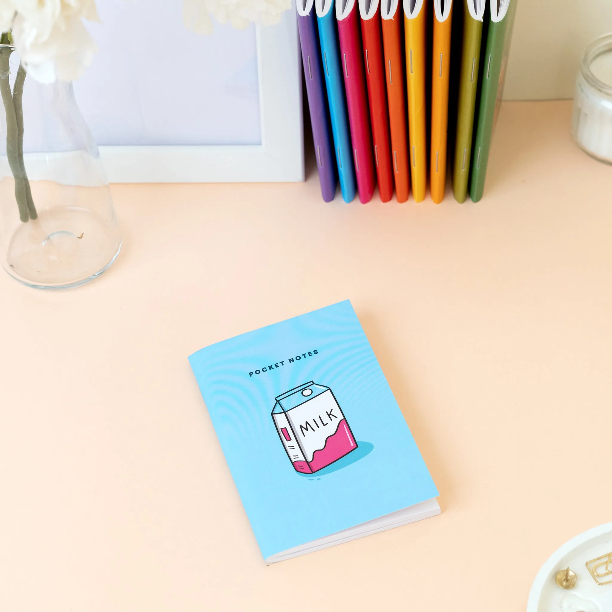 Illustrated Pocket Notebooks / Pack of 10