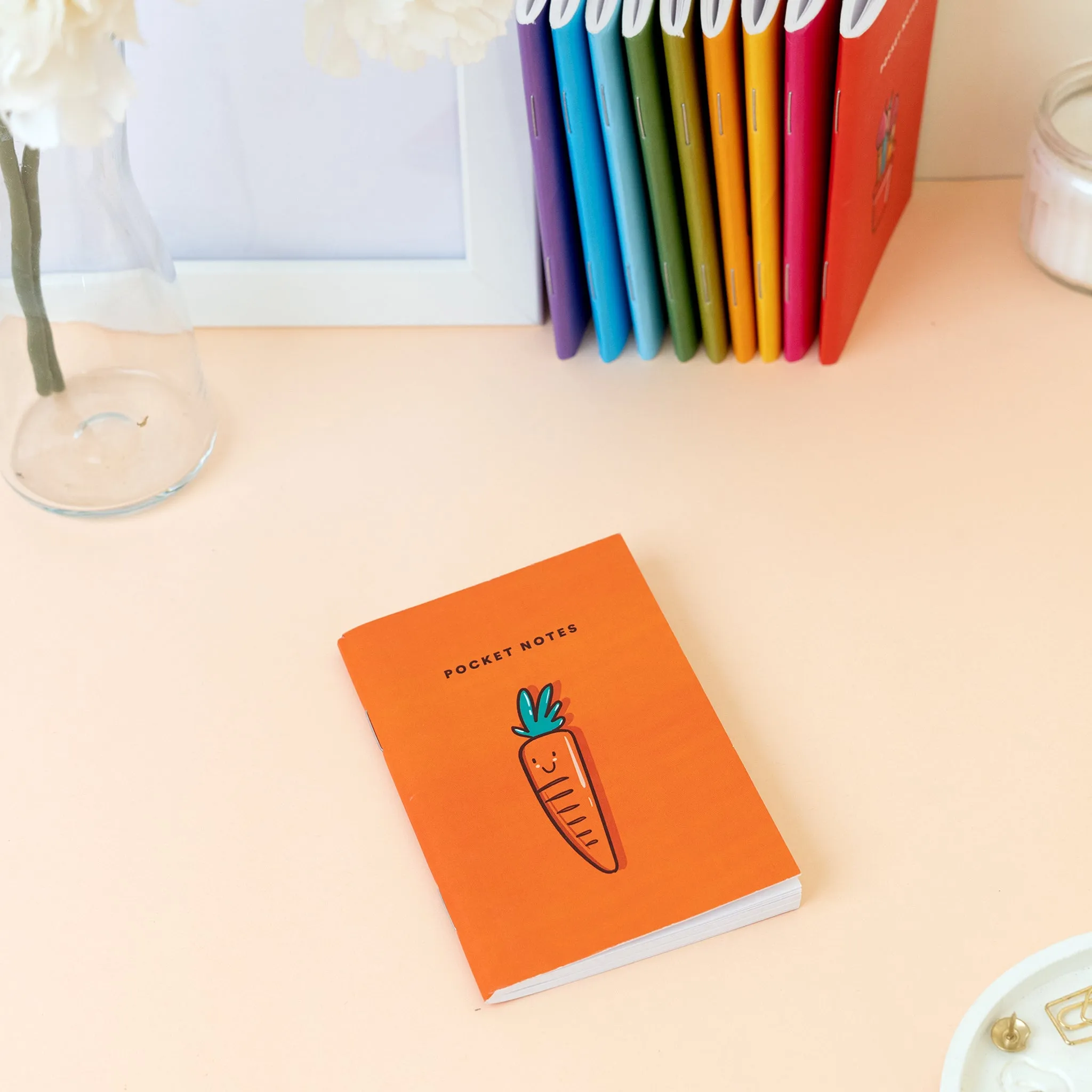 Illustrated Pocket Notebooks / Pack of 10