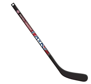 Inglasco NHL Composite Mini Sticks Right