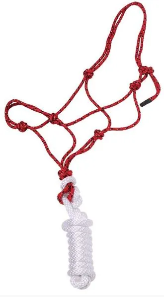Knotted Rope Halter with Lead