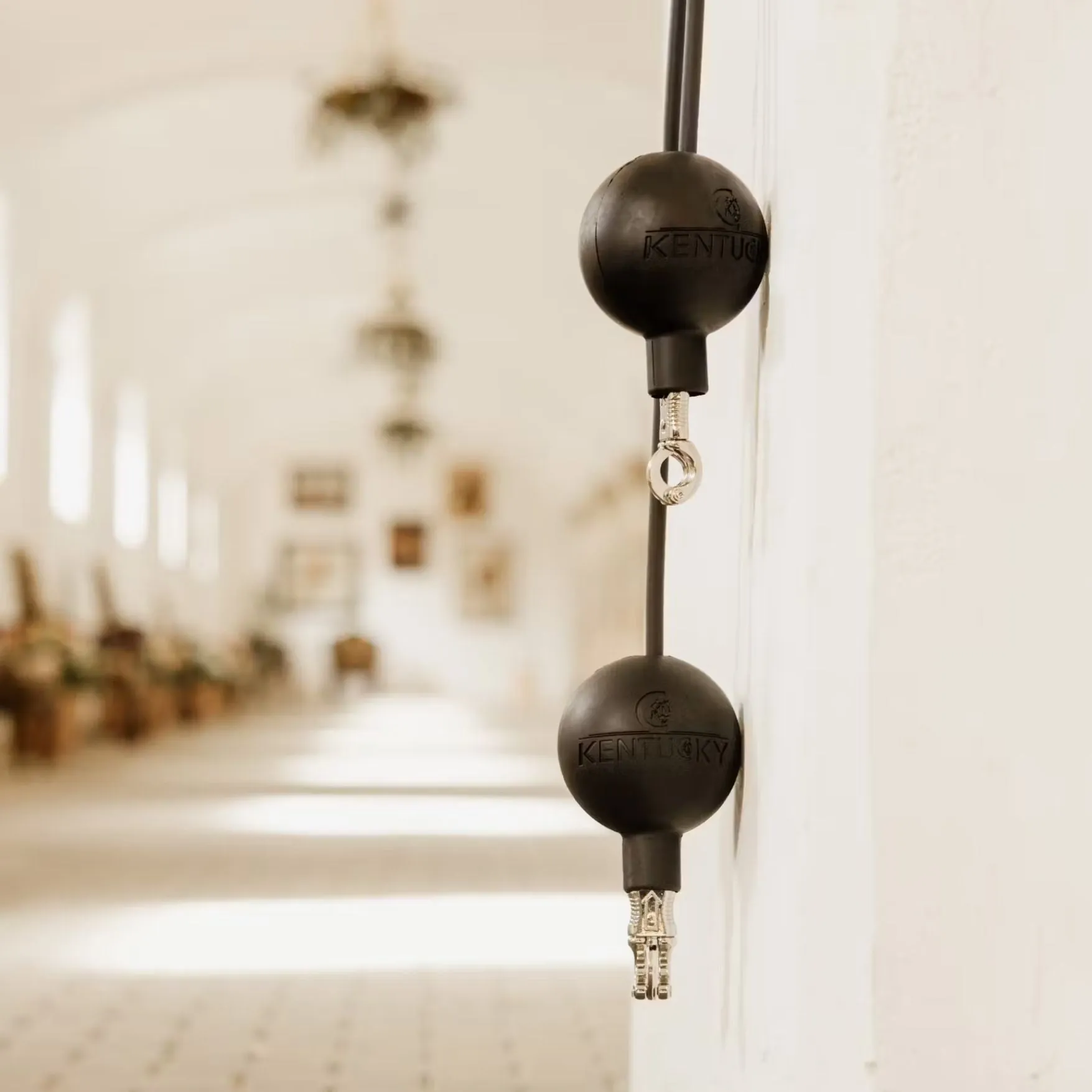 Lead & Wall Protection Rubber Ball Black 11.5cm