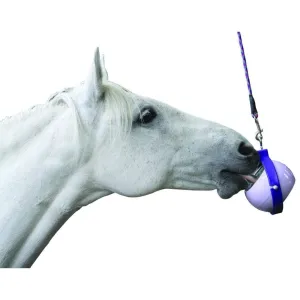 Likit Boredom Buster