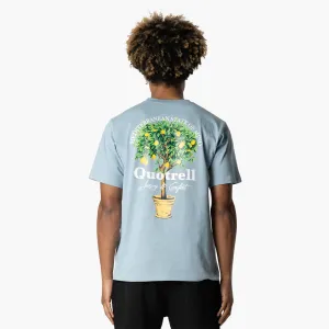LIMONE TEE | MUTED BLUE/WHITE