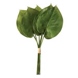 Lush Green Philodendron Accent for Your Farmhouse Decor