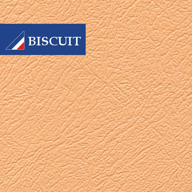 MKI & II MINI SALOON & TRAVELLER FRONT DOOR FILLET PANELS - 1 PAIR