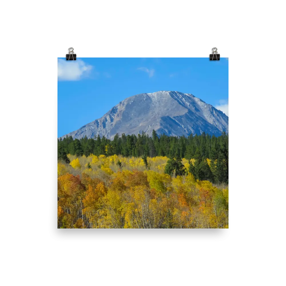 Mount Hope standing in a sea of aspens - print